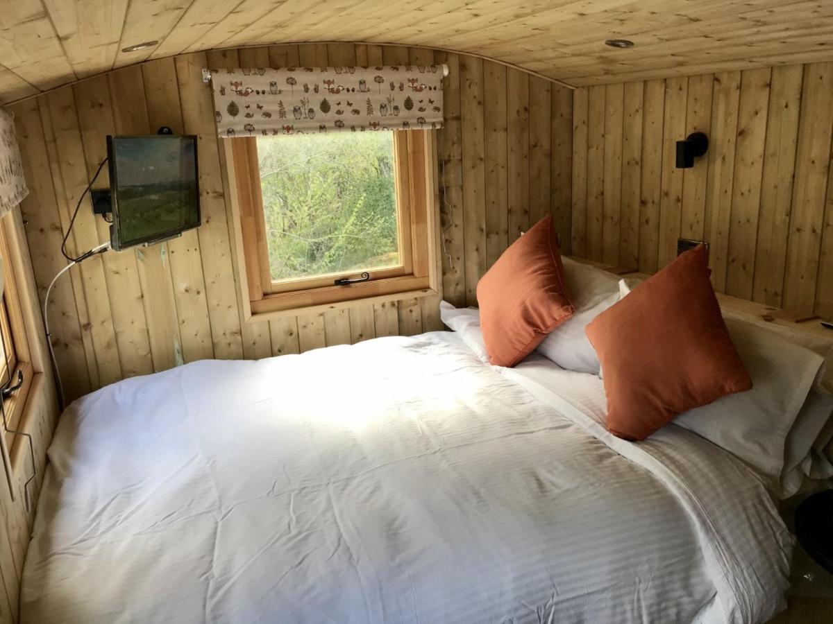 Highland Bear Lodge & Luxury Bear Huts Drumnadrochit Eksteriør bilde